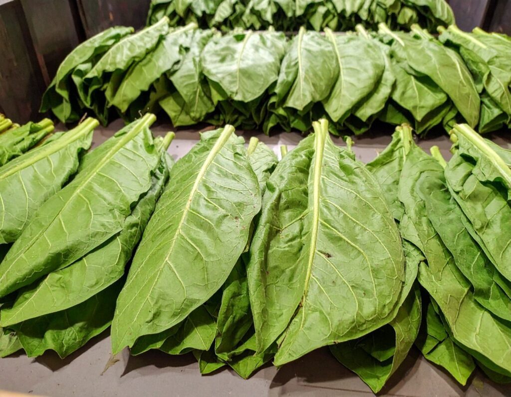 Freshly harvested leafy green vegetables laid out on a table, highlighting sustainable farming practices powered by propane for farms, propane-powered equipment, and supported through propane delivery and storage.