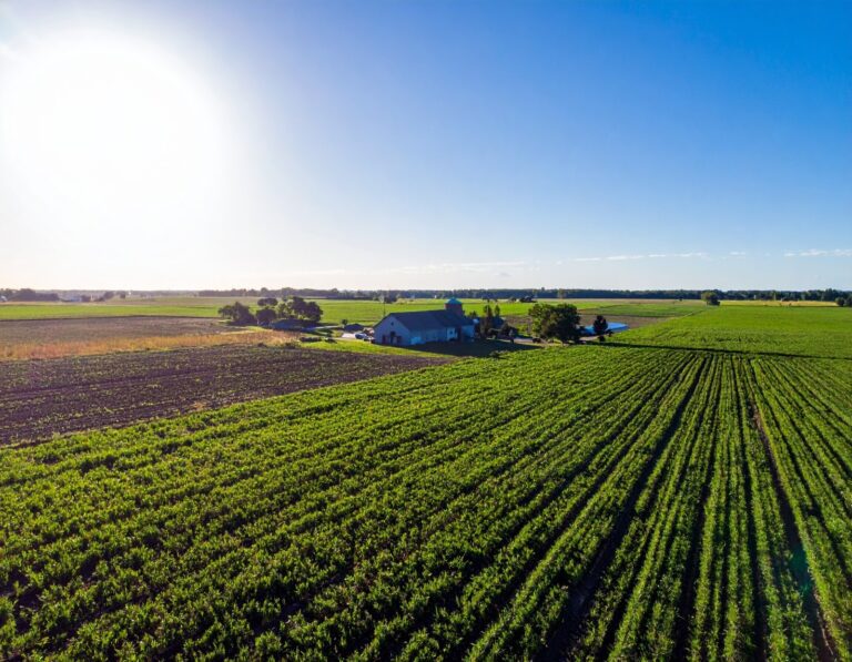A wide farm landscape with a large open field, showcasing the scale of agricultural operations supported by propane for farms, propane-powered equipment, and propane delivery and storage.